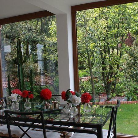 Ferienwohnung La Camelia D'Oro Oggebio Exterior foto