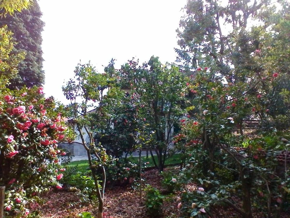 Ferienwohnung La Camelia D'Oro Oggebio Exterior foto