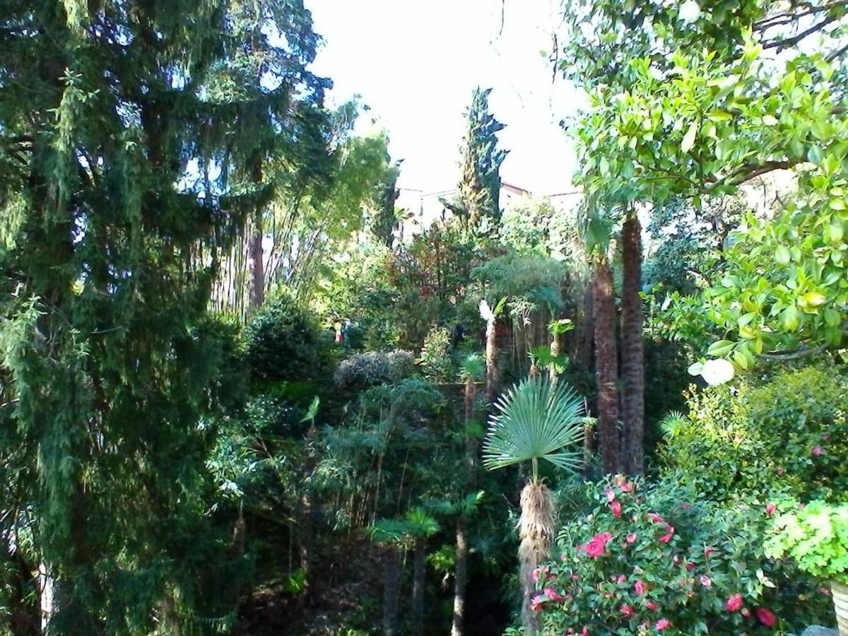 Ferienwohnung La Camelia D'Oro Oggebio Exterior foto