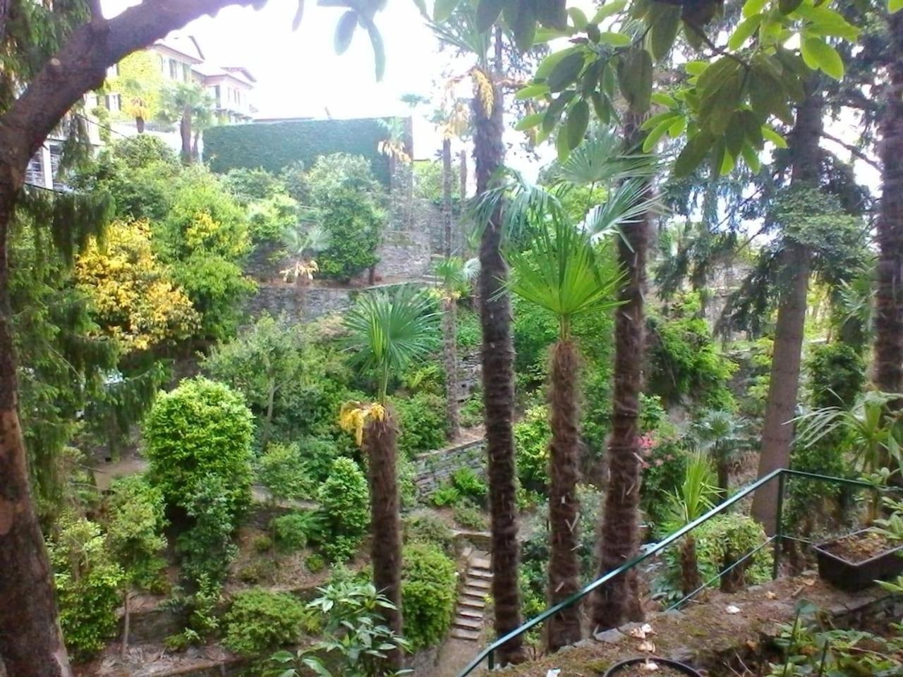 Ferienwohnung La Camelia D'Oro Oggebio Exterior foto